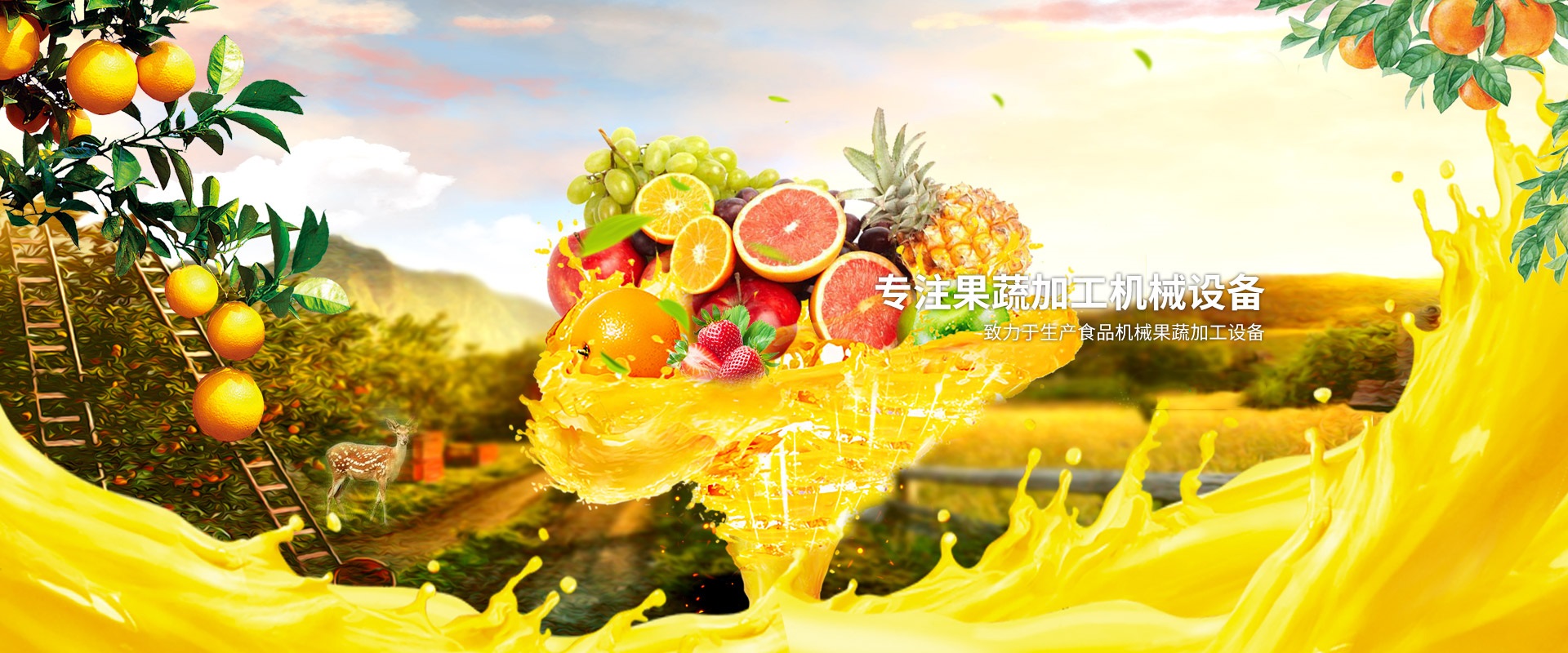 食品級材質(zhì)  商用性質(zhì)工業(yè)壽命